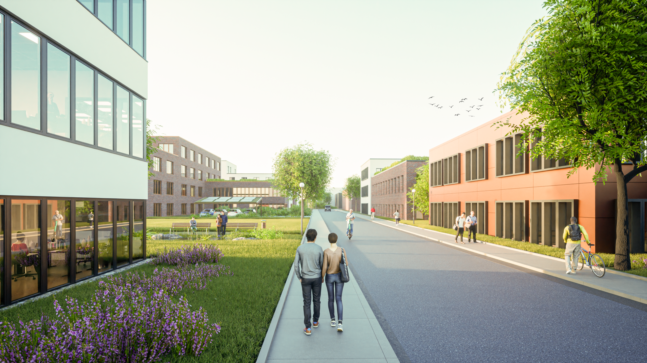 https://www.plassmeier-bau.de/wp-content/uploads/2026/05/Visualisierung-Ringstrasse-scaled.png